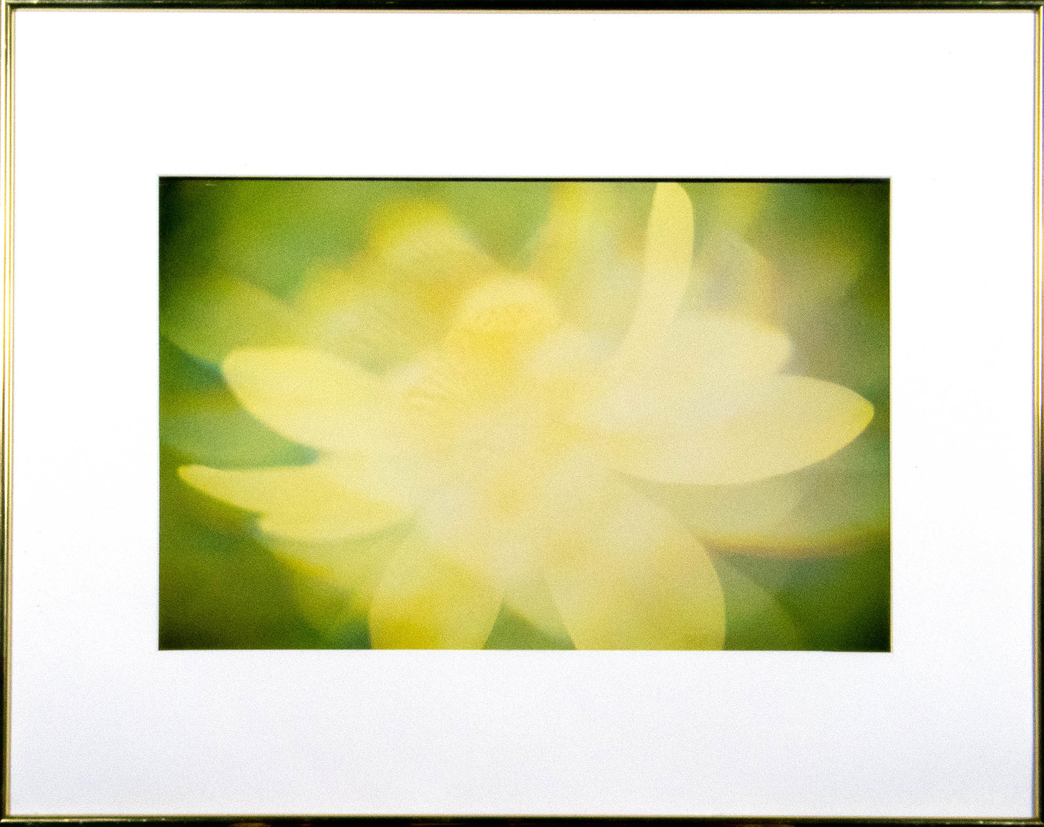Lotus (1989)